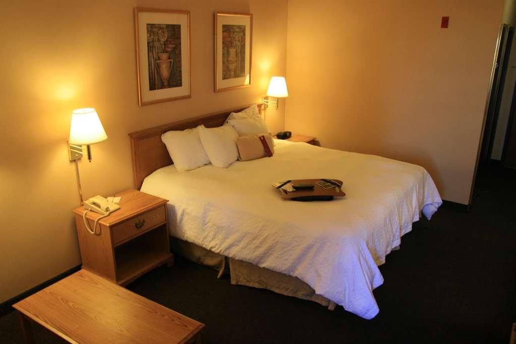 Hampton Inn Salina Rum bild